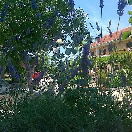Sperka * Jelsa (Hvar)